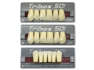 Tribos 501 Anterior TRIBOS 501 FZ A1 L3 UK