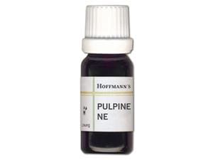 Hoffmann´s PULPINE NE - Lösung Flasche 10 ml