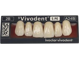 SR Vivodent® S PE SR Vivodent S PE 01 A11