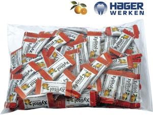 Xylitol Chewing Gum - Beutel Frucht, Beutel 100 x 2 Stück