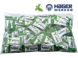 Xylitol Chewing Gum - Beutel Spearmint, Beutel 100 x 2 Stück