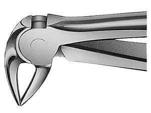 ANATOMICA Wurzelzange nach Büchs Figur 33 A (DH732R) - UK, schmal